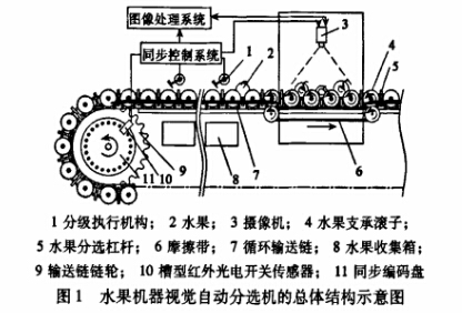 分揀輸送機(jī)